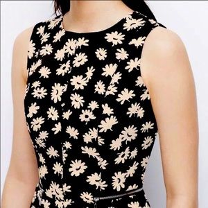 Ann Taylor Black & White Floral Zip Dress